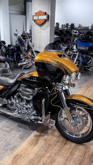 2015 HD CVO Limited 110 Gold Rush / Carbon Dust