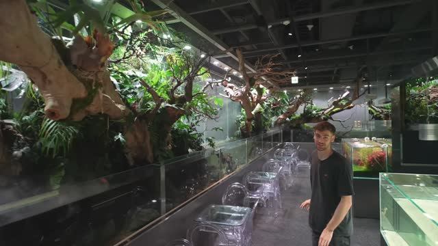 Сеул Корея:  Прогулка по самому вдохновляющему зоомагазину смотреть онлайн