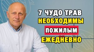 Здоровые Советы | Как остановить старение мозга? 7 растений, которые возвращают память и ясность