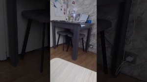 играем с Алисой