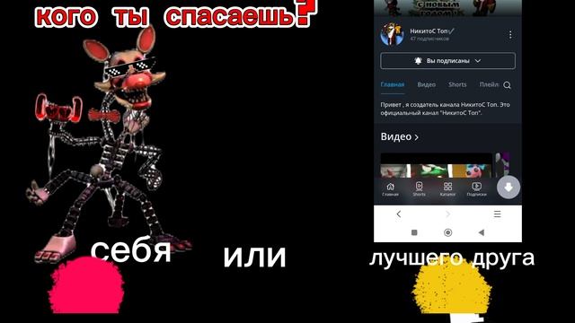 Правильно я поступил?