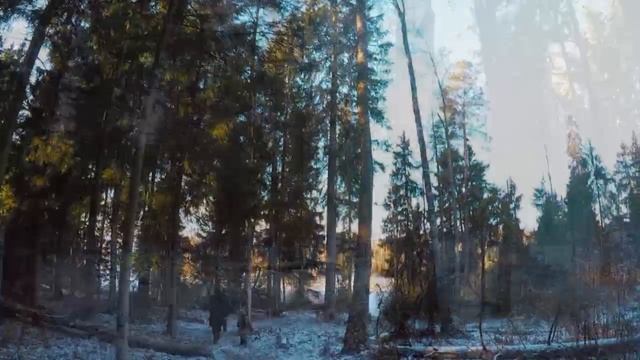 Лесная прогулка к озеру.