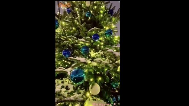 Новогодняя песня . ДЕД МОРОЗ НЕ РАД.