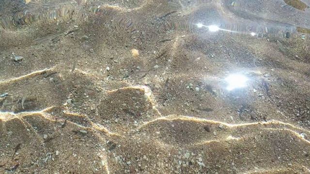 2021 Египет, Шарм-эль-Шейх, ноябрь