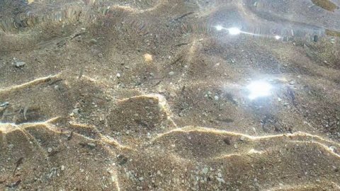 2021 Египет, Шарм-эль-Шейх, ноябрь