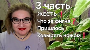 ЖЕСТЬ❗️Что за фигня❓️Пришлось ковырять ножом❗️