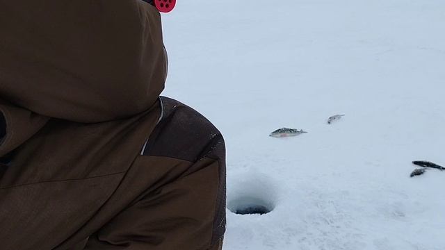 Рыбалка на окуня и сорога 2 серия