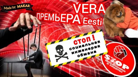 Инженерия обмана. Дебют и премьера нового автора Вера Eesti.