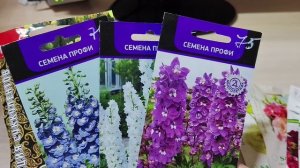 Что посеять в декабре? Обзор семян цветов #семена #сад #семенацветов  #обзорсемян #эустома #кактус