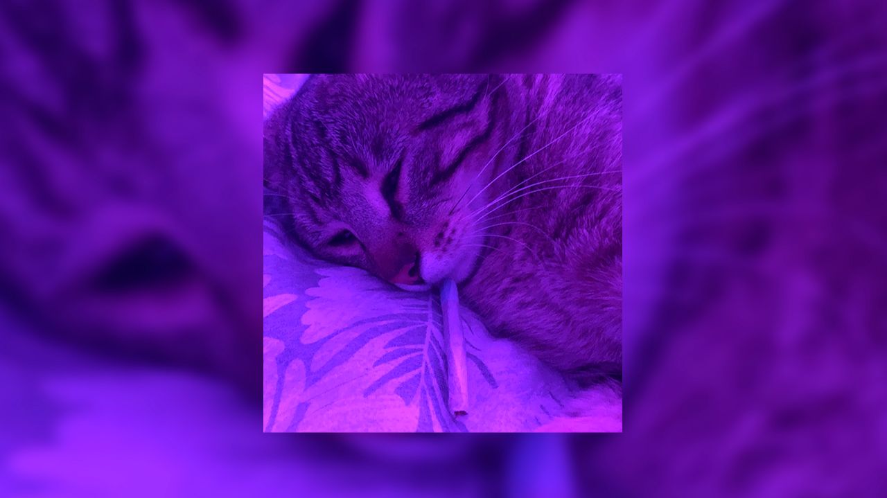 ☆плейлист популярных песен из тик тока 2025 года☆