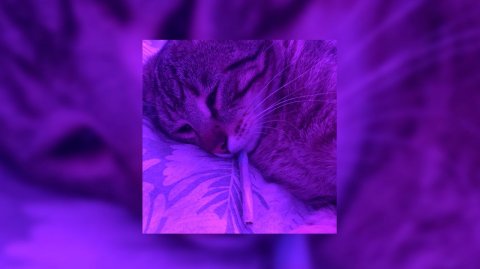 ☆плейлист популярных песен из тик тока 2025 года☆