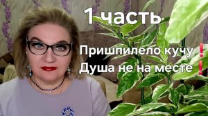 Пришпилело кучу❗️Душа не на месте❗️