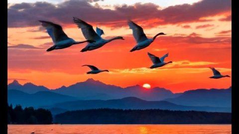 Очень красивая песня ❤❤❤ Космическая🙏🙏🙏