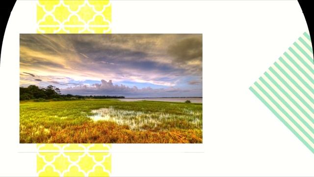 Ян Лещенко - Поиск