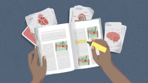 Как правильно запоминать, учиться и готовиться к экзаменам