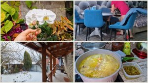 Зима пришла. Стирка чехлов. Обход оранжереи. Рассольник на бочковых огурцах.