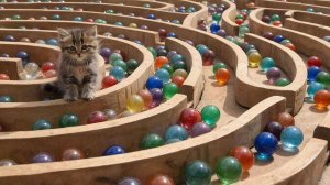 ЗАЛИПАТЕЛЬНЫЕ МУЛЬТИКИ ДЛЯ ДЕТЕЙ | ЗАЛИПАТЕЛЬНЫЕ ВИДЕО | ДЕТЯМ | МУЛЬТИКИ