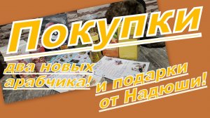 ПОКУПКИ И ПОДАРКИ!!! НОВЫЕ АРАБСКИЕ АРОМАТЫ и другие интересности!!!