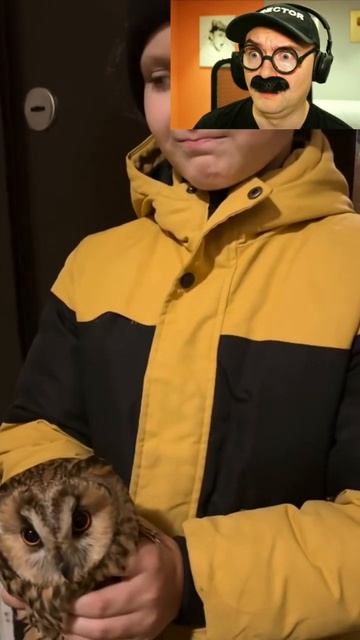 Пришел из школы с совой смотреть онлайн