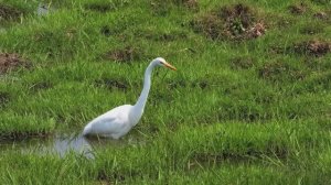 КРАСИВАЯ РАССЛАБЛЯЮЩАЯ МУЗЫКА ДЛЯ ДУШИ УСПОКАИВАЮЩАЯ МУЗЫКА ДЛЯ СНА