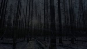 Ёлочка росла