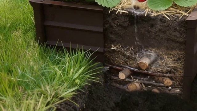 Забыть про сорняки РАЗ и НАВСЕГДА! Теперь это реально