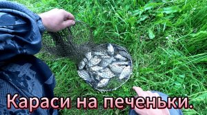 Рыбалка. Караси любят печеньки