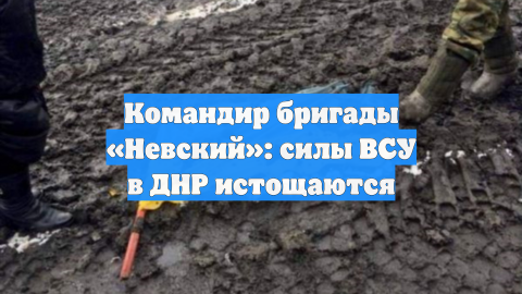 Командир бригады «Невский»: силы ВСУ в ДНР истощаются