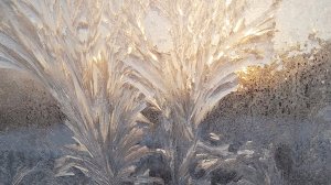 Зимняя сказка на морозном окне. Уникальные узоры. 14-12-2025