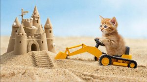 РАЗВЛЕКАТЕЛЬНОЕ ВИДЕО ДЛЯ ДЕТЕЙ | МУЛЬТИКИ ДЛЯ ДЕТЕЙ |