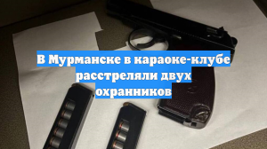 МВД: в караоке-клубе Мурманска расстреляли двух охранников