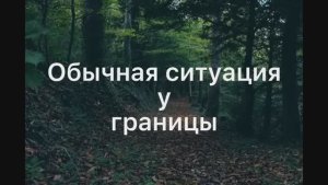 Обычная ситуация у границы/ Листвичка и Грач/ Прикол/ Коты водители/