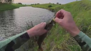 НА ЭТО НАЛОВИШЬ ЩУКИ И ОКУНЯ, С УЛОВОМ БУДЕШЬ ВСЕГДА! Рыбалка на спиннинг