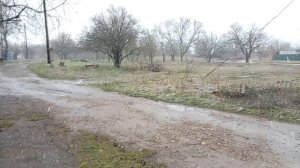 Первый снег на юге России!❄☃️❄ Приколы от дочи ! 👩Юг России! 🌴