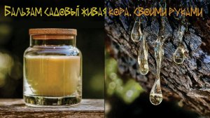 Бальзам садовый - Живая кора.  Своими руками.
