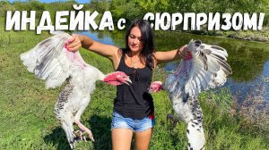 Жирная ИНДЕЙКА с Хрустящей Корочкой и Голубцами Внутри Запеченная в Печи
