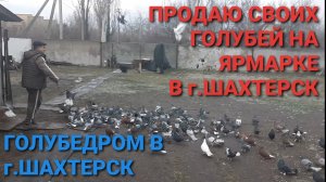 🕊🕊🕊 Продаю своих голубей на ярмарке в г.Шахтерск. Голубедром в г.Шахтерск. Часть 2. Pigeons Fair.
