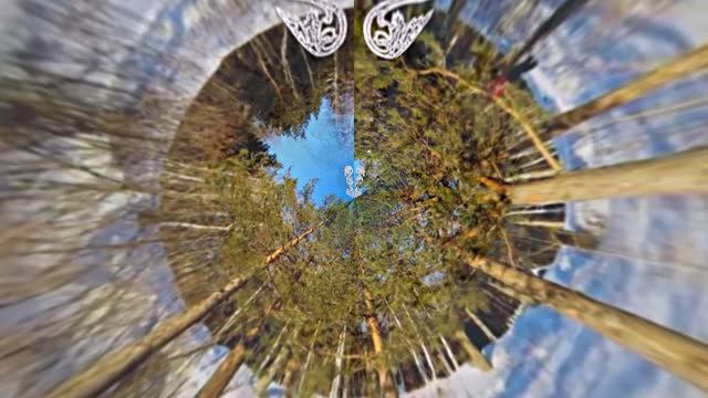 Зимний лес 3!!! Русская народная сказка от Киностудии Мудрого Кота Тимофея