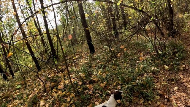 эпические про...бы 2025