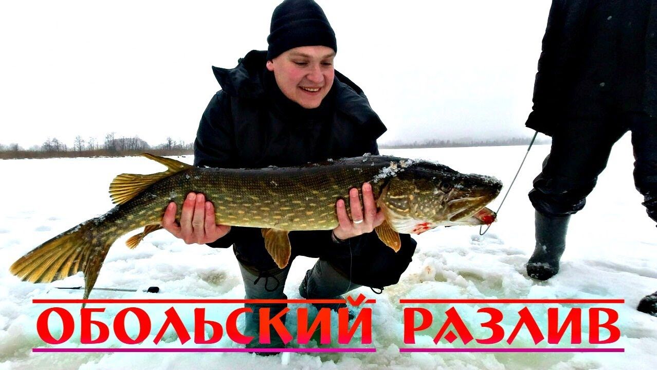 Трофейная Щука. Ловля на жерлицы. Рыбалка в Беларуси смотреть онлайн