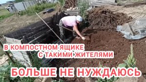 Хвалюсь урожаем арбузов. Избавилась от компостного ящика. 54 серия