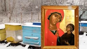 22 декабря день Анны, женский день. Просите у святой счастливой семейной жизни