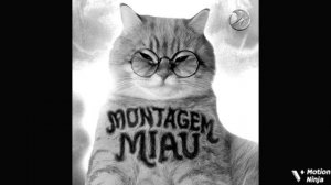 MONTAGEM MIAU (MEGA SLOWED)