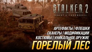 S.T.A.L.K.E.R. 2 - Горелый лес (Все улучшения, флешки, костюмы, артефакты, оружие и сканеры)