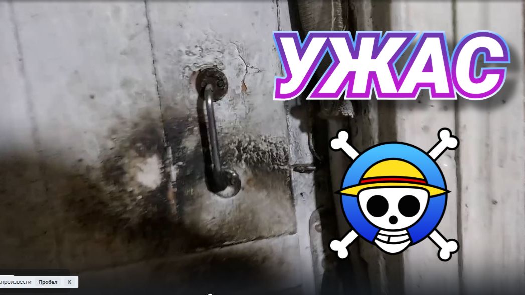 КАК МНЕ ПОНРАВИЛСЯ РОЛИК У БАРЫНИ