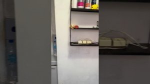 Северодвинская