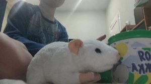 важные новости