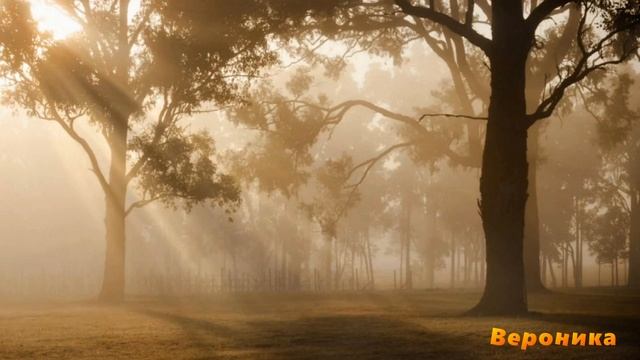 ОСЕННИЕ НОЧИ БЛИСТАТЕЛЬНЫХ ЛУН-сл Татьяны Летневой муз аранж испол Александр Волченко