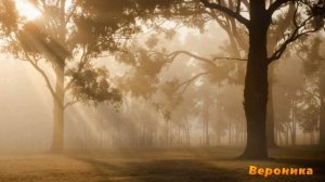 ОСЕННИЕ НОЧИ БЛИСТАТЕЛЬНЫХ ЛУН-сл Татьяны Летневой муз аранж испол Александр Волченко