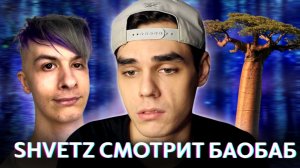Shvetz смотрит Баобаб